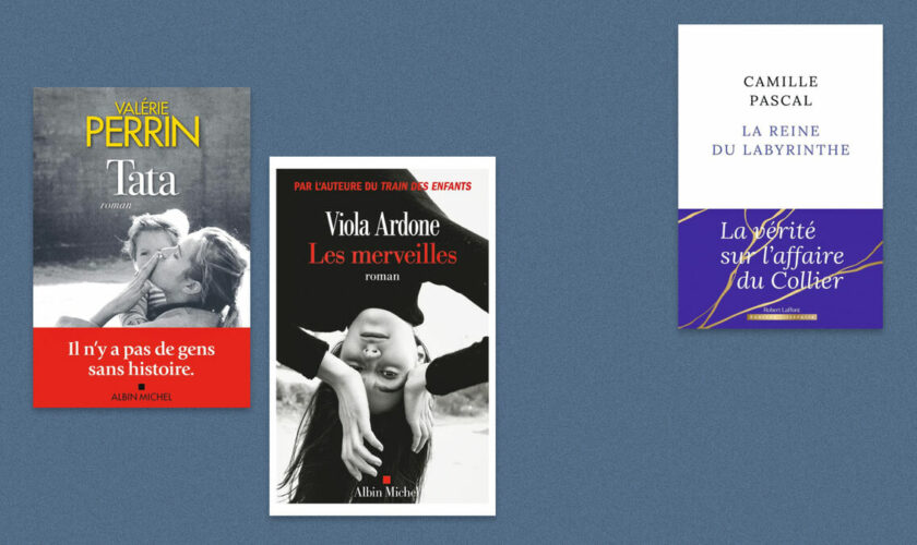 Valérie Perrin, Viola Ardone, Camille Pascal… Notre sélection livres de la semaine