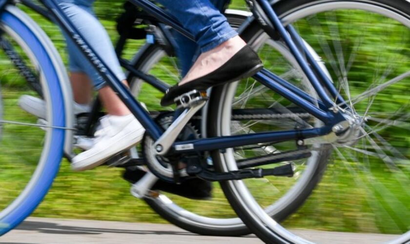 In Sachsen-Anhalt gibt es an vielen Landstraßen noch keinen Radweg. (Foto: Archiv) Foto: Hendrik Schmidt/dpa-Zentralbild/dpa