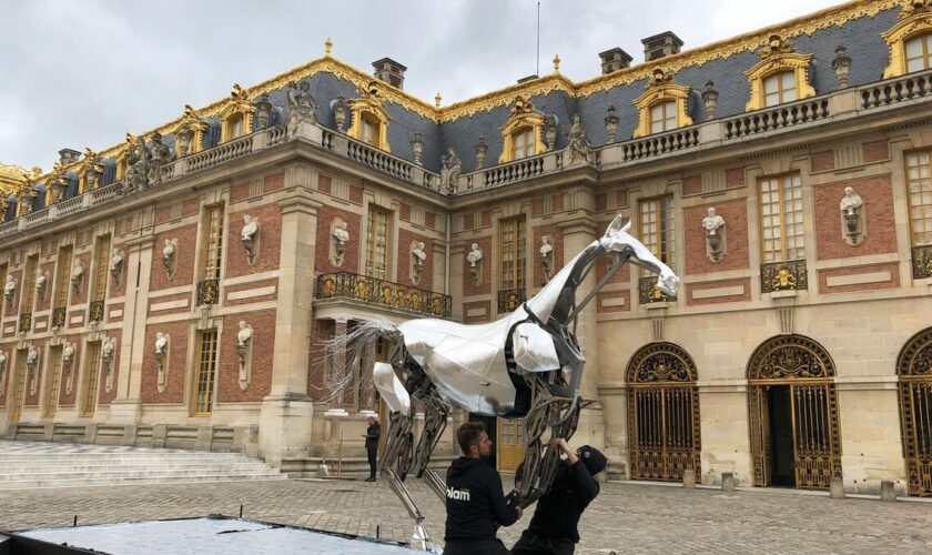 Versailles : le cheval métallique des JO a débarqué au château !