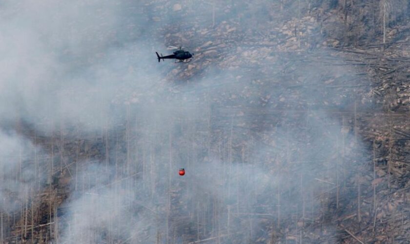 Der Brand am Brocken im Harz ist noch nicht unter Kontrolle. Foto: Matthias Bein/dpa