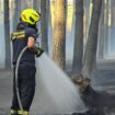 Die Feuerwehr hat einen Waldbrand bei Ruhlsdorf unter Kontrolle gebracht. Foto: Cevin Dettlaff/dpa