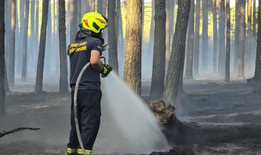 Die Feuerwehr hat einen Waldbrand bei Ruhlsdorf unter Kontrolle gebracht. Foto: Cevin Dettlaff/dpa