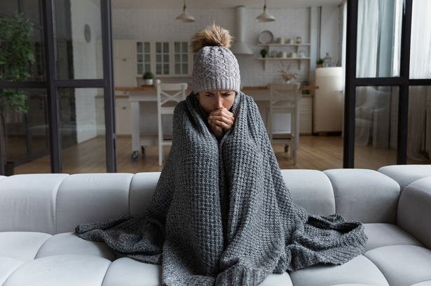 'Warms a room in 20 minutes'– Shoppers 'ditch central heating' for £47 heater