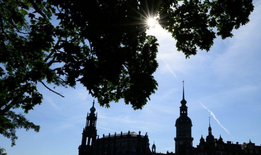 Das Wochenende in Sachsen wird trocken und heiß. (Archivbild) Foto: Robert Michael/dpa