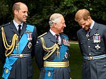 Why Royal Family posts to Prince Harry on his 40th birthday show 'NO evidence of defrosting relationship', expert claims