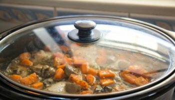 Woman falls violently ill after making terrible slow cooker mistake