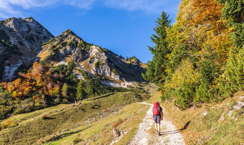 Wandern im Herbst