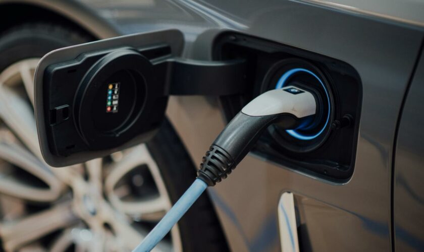 Elektromobilität: Bundeskartellamt fordert mehr Wettbewerb bei E-Ladesäulen