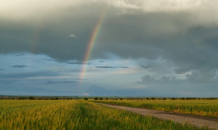 Météo : une courte accalmie avant le retour de la pluie, voici les quelques jours où il faudra profiter du beau temps