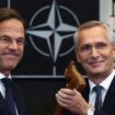 Nachfolger von Stoltenberg: Neuer Nato-Chef Rutte stellt sich hinter die Ukraine