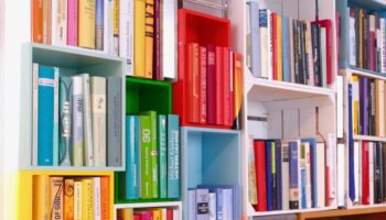 Does colour-coding your books make you organised – or a superficial illiterate?