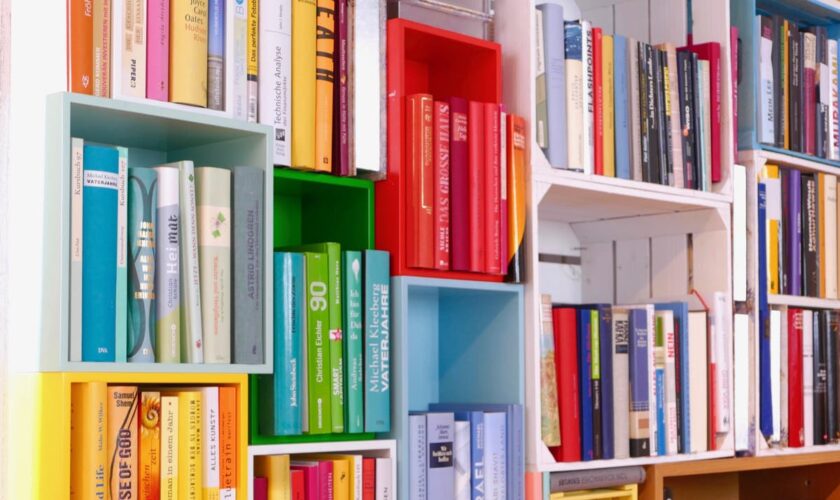 Does colour-coding your books make you organised – or a superficial illiterate?