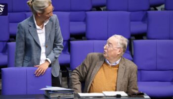 Alexander Gauland kündigt Rückzug aus dem Bundestag an