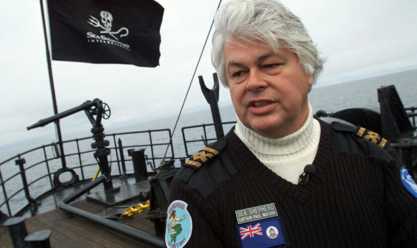 Affaire Paul Watson : le défenseur des baleines reste en prison au Groenland