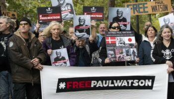 Groenland : la détention du militant écologiste Paul Watson maintenue jusqu'à fin octobre