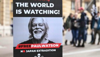 La détention de Paul Watson à nouveau prolongée, malgré la pression internationale