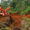 Loi anti-déforestation : l’Union européenne repousse d’un an son entrée en vigueur