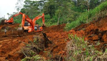 Loi anti-déforestation : l’Union européenne repousse d’un an son entrée en vigueur