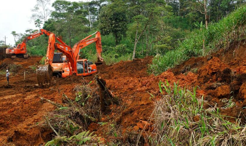 Loi anti-déforestation : l’Union européenne repousse d’un an son entrée en vigueur