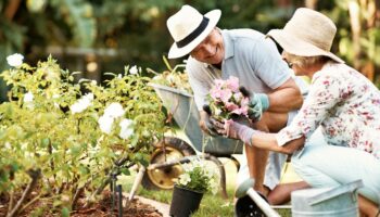 To reduce dementia risk, seniors should take up this outdoor activity, study suggests