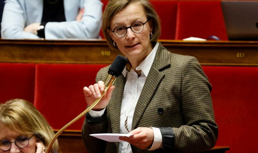 «Trop loin de mes valeurs» : mal à l’aise avec le soutien à Michel Barnier, la députée Stella Dupont quitte le groupe macroniste