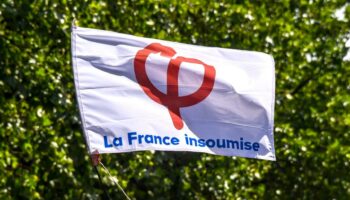 LFI exclut un de ses militants mis en examen après des viols sur une fillette handicapée, ce que l’on sait