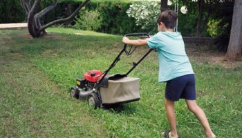 Man applauded for refusing to pay neighborhood child for mowing his lawn