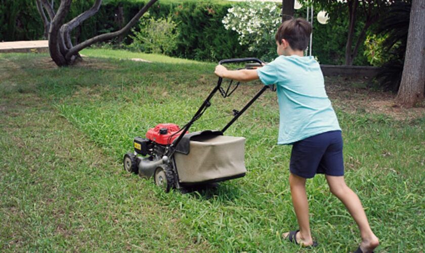 Man applauded for refusing to pay neighborhood child for mowing his lawn