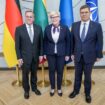 Vilnius: Litauen ratifiziert Brigade-Abkommen mit Deutschland