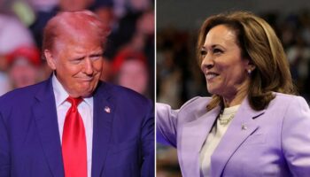 Wisconsin poll shows Harris leading Trump by 4, former president ahead on key issues