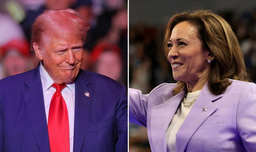 Wisconsin poll shows Harris leading Trump by 4, former president ahead on key issues