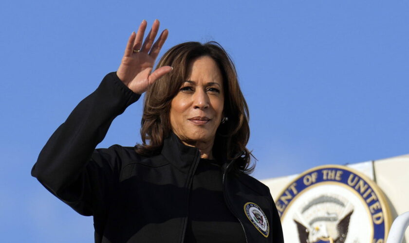 Kamala Harris : résultats des sondages, programme... Des difficultés en fin de campagne ?