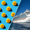 Cruise passengers go wild hiding rubber ducks on ships in viral game of hide-and-seek