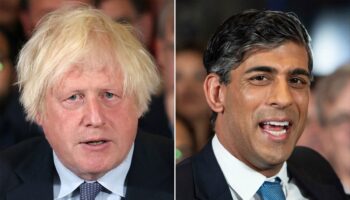 Blame Sunak for Tory election drubbing not me, says Boris Johnson