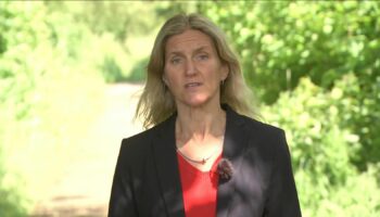 Jo Cox's sister Kim Leadbeater