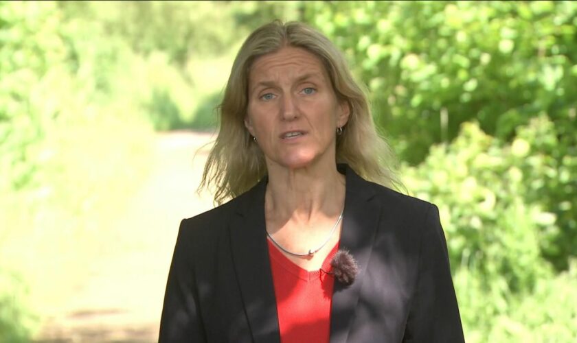 Jo Cox's sister Kim Leadbeater