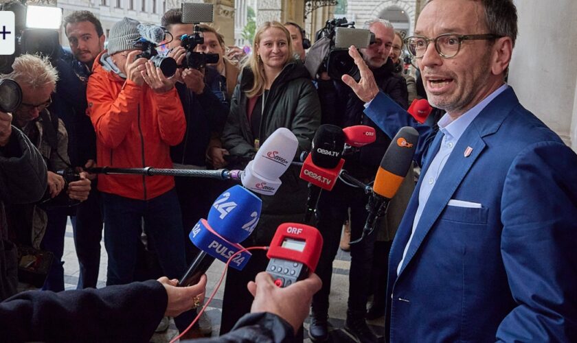 Österreich nach FPÖ-Wahlsieg: Van der Bellen spricht zuerst mit Kickl