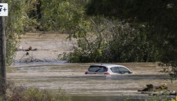 Hurrikan: Zahl der Toten nach „Helene“ steigt auf über 210