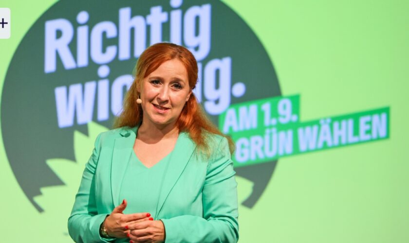 Grüne in Sachsen: „Die Friedensbewegten haben wir an das BSW verloren“