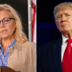 Trump calls Liz Cheney a 'low IQ war hawk' after appearance in support of Harris