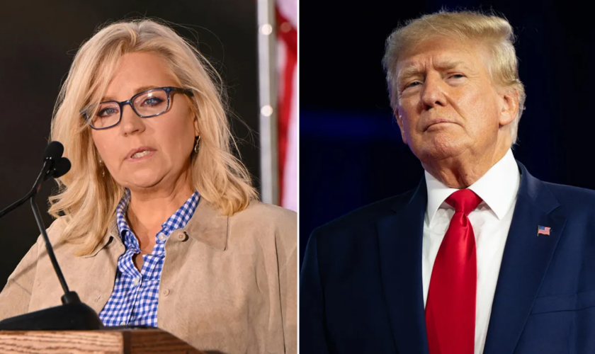 Trump calls Liz Cheney a 'low IQ war hawk' after appearance in support of Harris