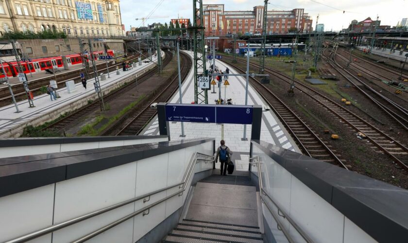 Verdachtsfall in Hamburg: Vorgehen der Behörden beim Verdacht auf Marburg-Virus wird untersucht