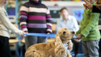 En France, le respect des animaux est désormais au programme du CP