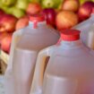 How to tell if your apple cider is safe to drink this fall