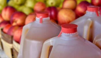 How to tell if your apple cider is safe to drink this fall