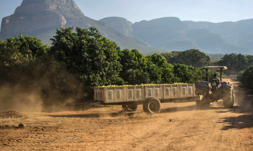 En Afrique du Sud, un double meurtre témoigne de la violence raciale dans les campagnes