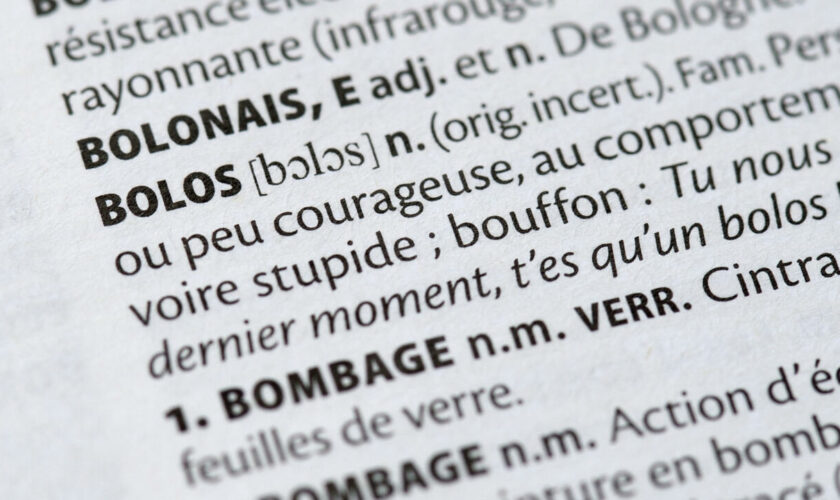 Le français, une langue vivante grâce aux mots des quartiers