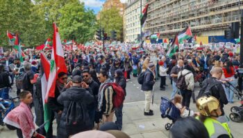 A pro-Palestine march in central London. Pic: PA