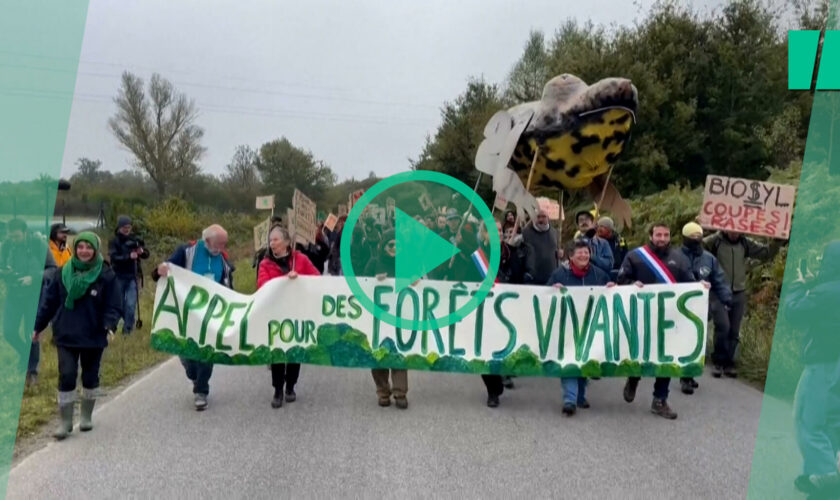 À Guéret, des centaines de manifestants pour défendre la forêt contre la construction d’une « méga-usine » à bois