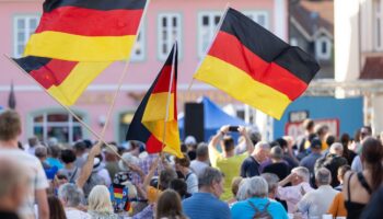 AfD-Verbotsverfahren: Grünenpolitiker Omid Nouripour offen für AfD-Verbotsverfahren